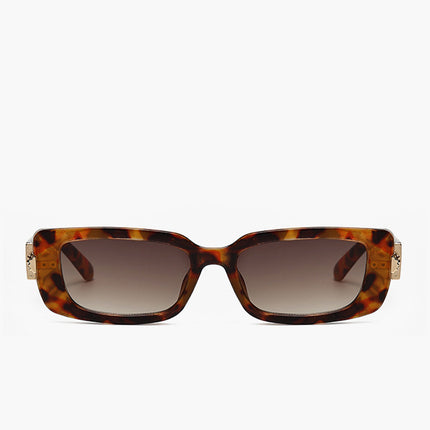 Collection image for: GMC 14